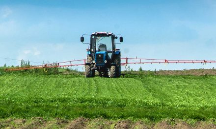 Se insta a la UE a que detenga la exportación de pesticidas peligrosos a terceros países